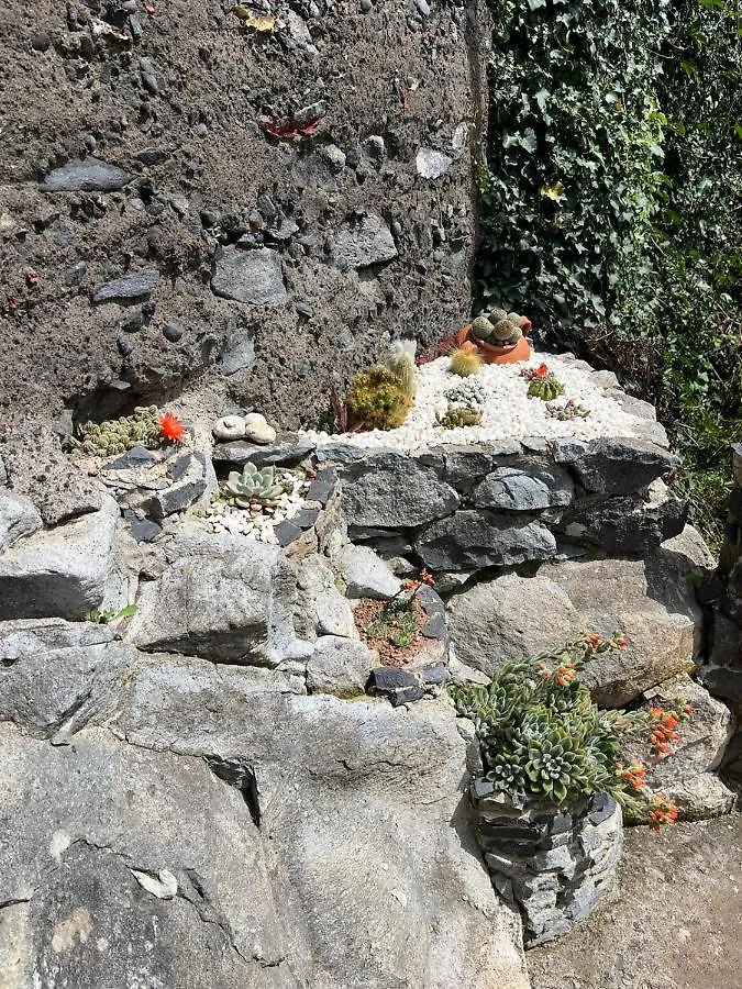 Tatil Evi Tropical House Villa Ribeira Brava Portekiz