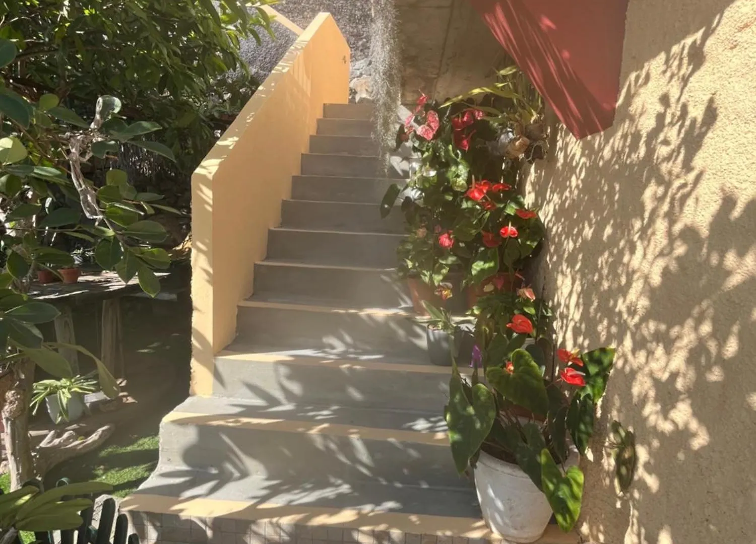 Tropical House Villa Ribeira Brava